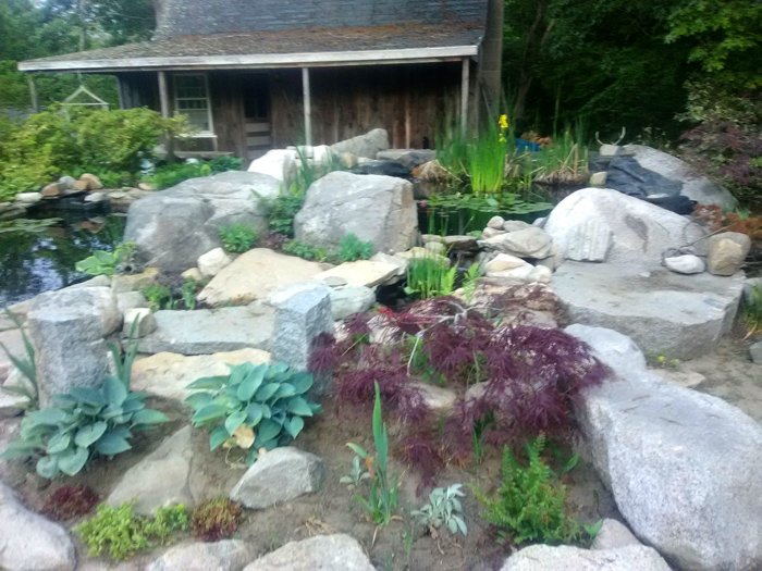 A beautiful example of a complete transforamtion in landscaping and hardscaping