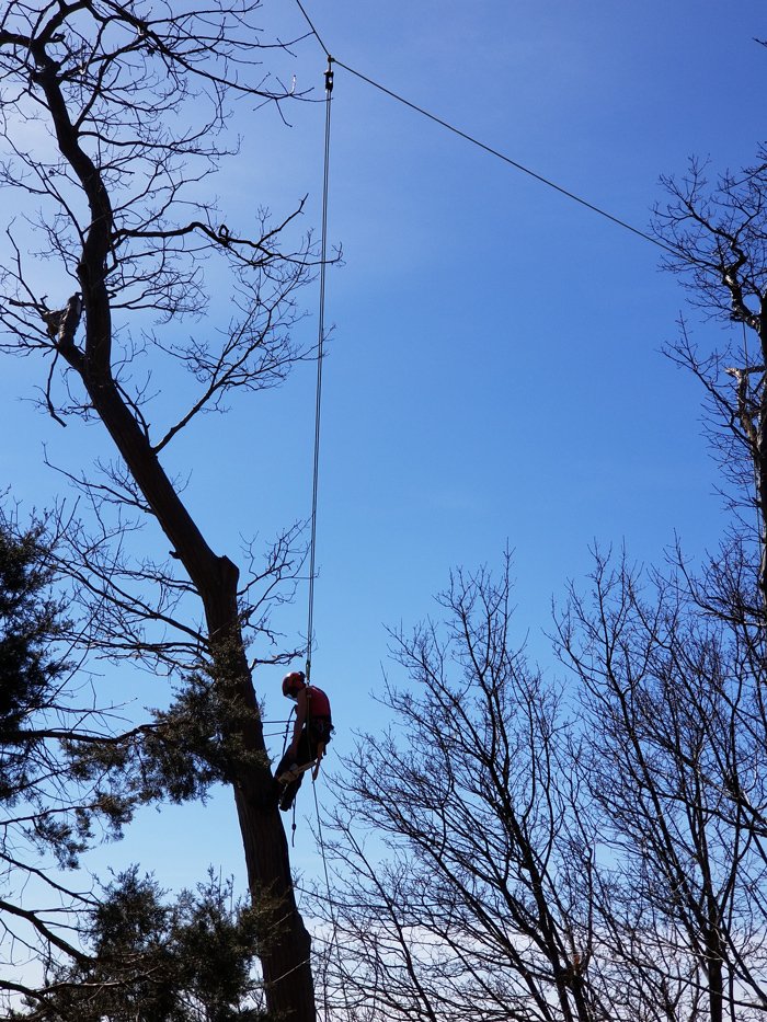 We love what we do, and our employees are some of the best ot there. Let us take care of all of your tree needs.
